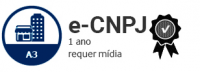 E-CNPJ A3 DE 1 ANO