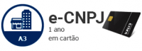 E-CNPJ - A3 de 1 Ano em cartão